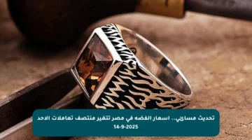 تحديث مسائي.. أسعار الفضة في مصر تتغير منتصف تعاملات الأحد 14-9-2025